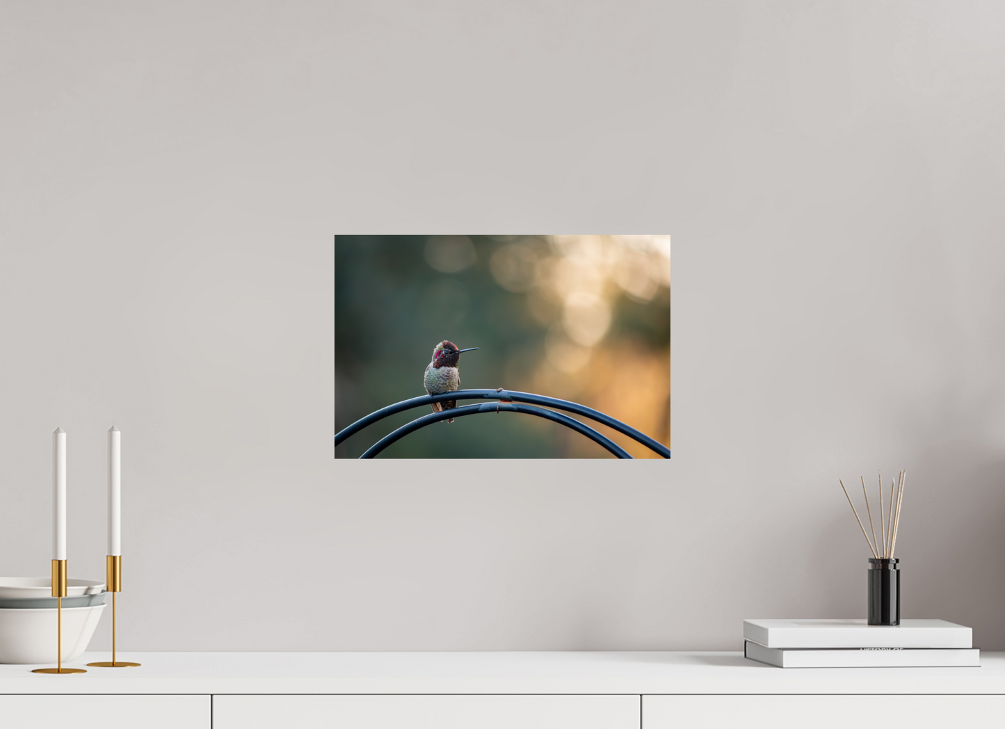Sunspot Hummingbird