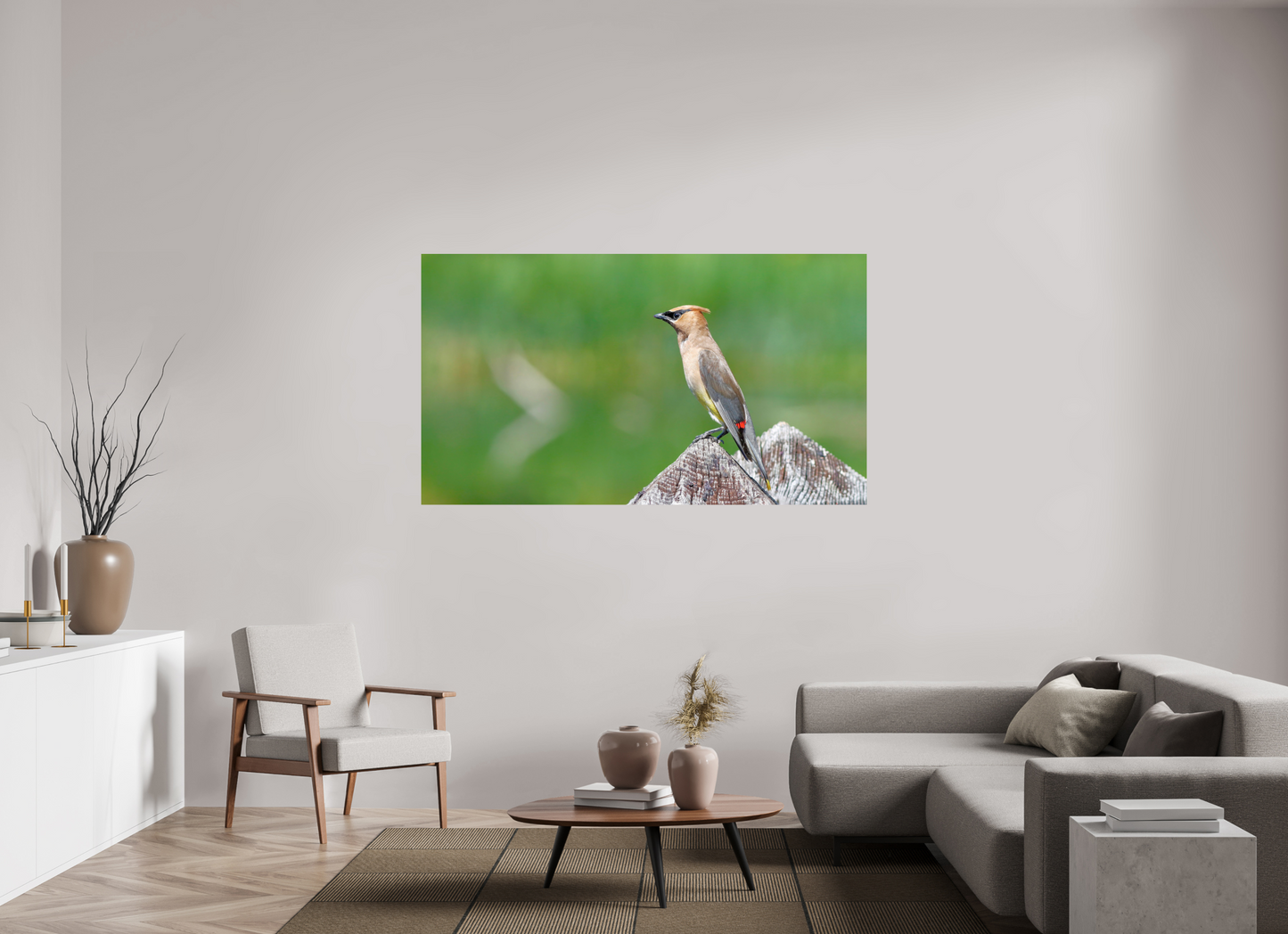 Cedar Waxwing Lookout