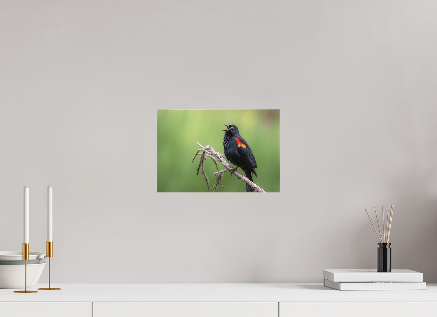12 x 8″, Canvas Prints Perched Red Winged Blackbird