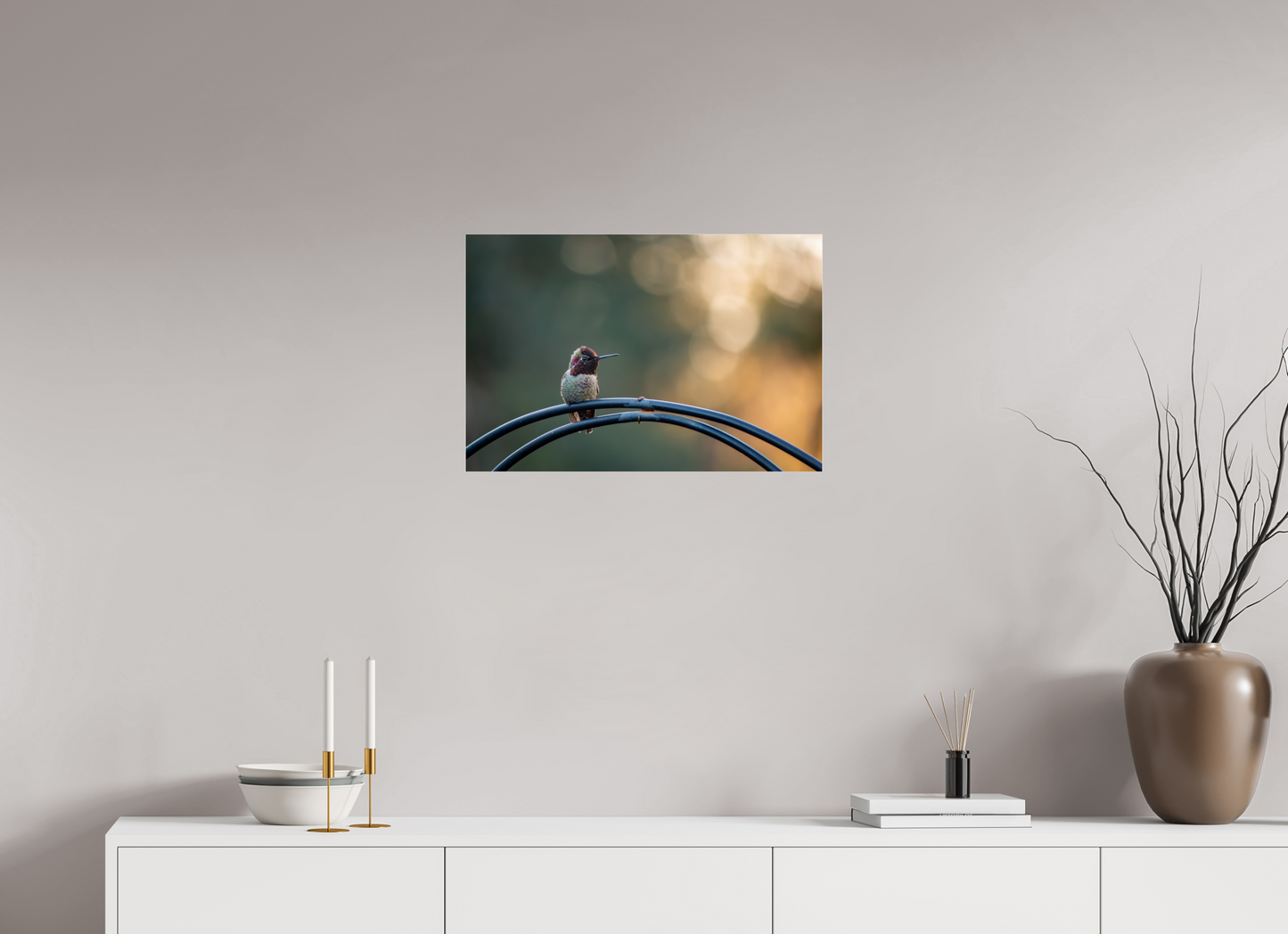 Sunspot Hummingbird