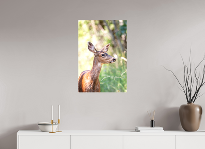 Foraging Deer
