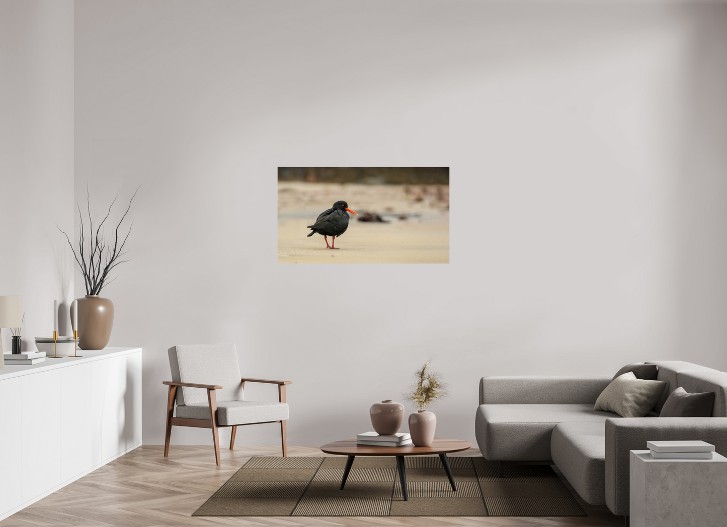 Beach Cruising Oyster Catcher