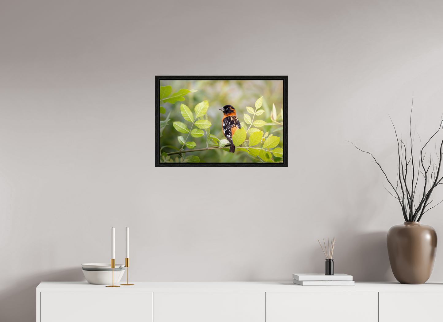 24 x 16″, Floater Frame Poised Black Headed Grosbeak