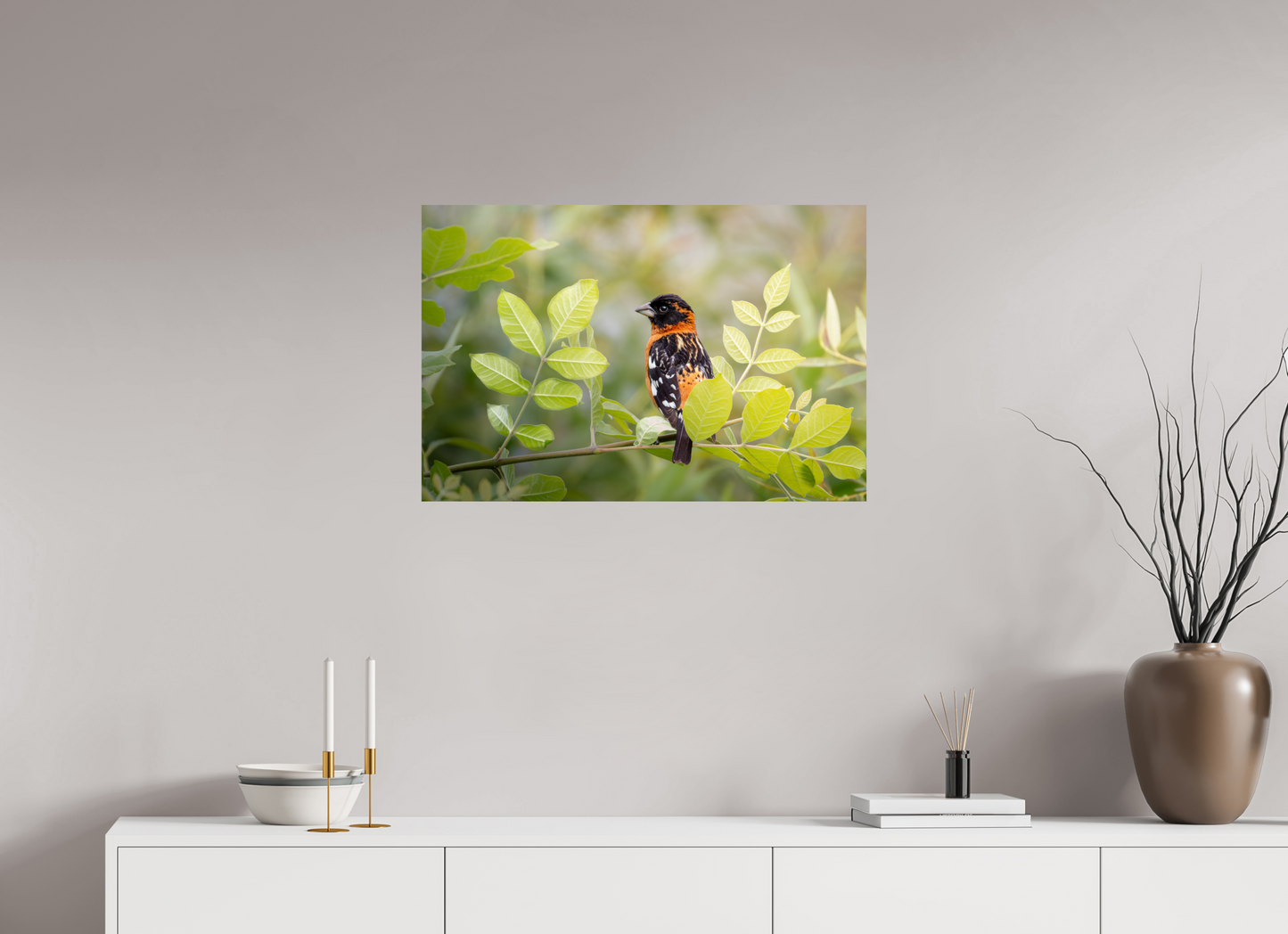 30 x 20″, HD Metal Print Poised Black Headed Grosbeak