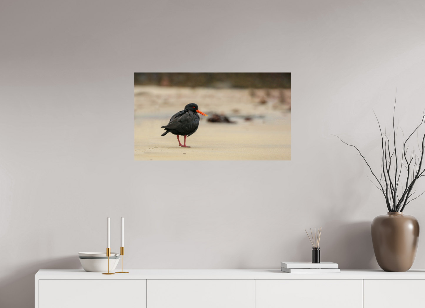 Beach Cruising Oyster Catcher