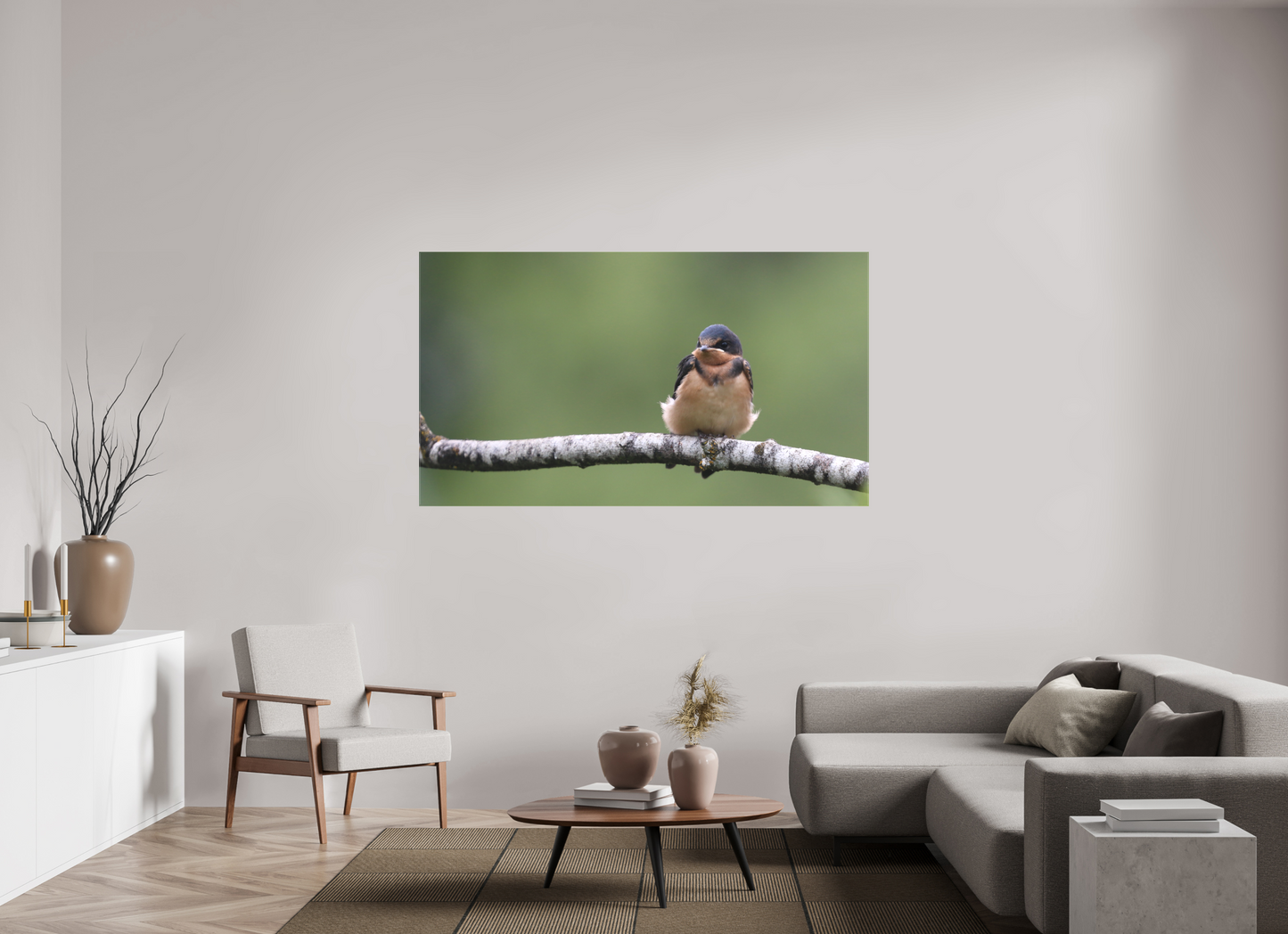 Resting Barn Swallow