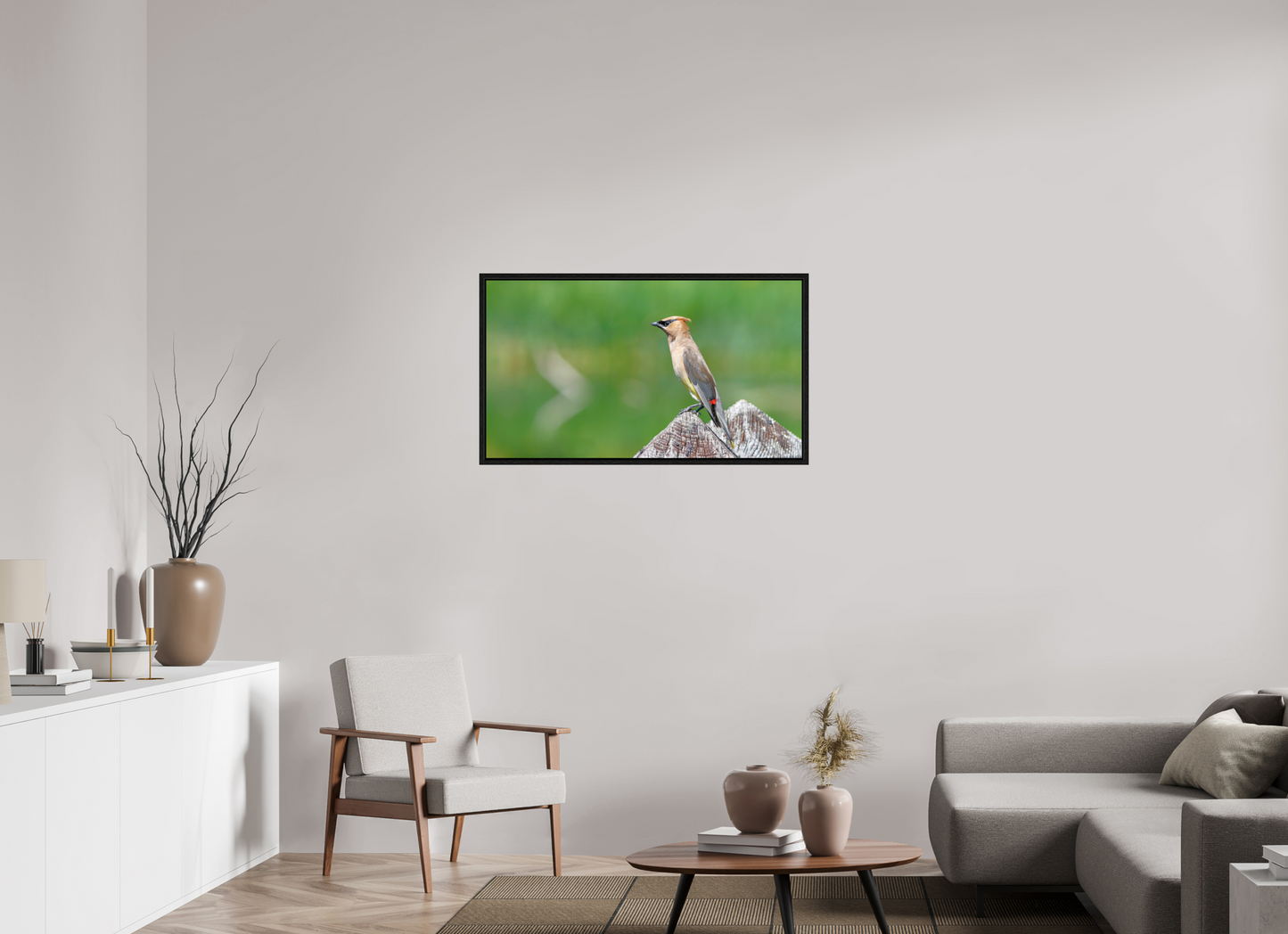 Cedar Waxwing Lookout