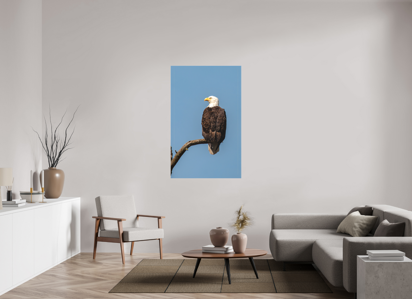 Bald Eagle Portrait
