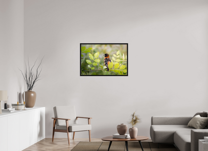 36 x 24″, Floater Frame Poised Black Headed Grosbeak