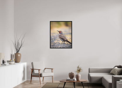 28 x 35″, Floater Frame Remarkable Northern Flicker