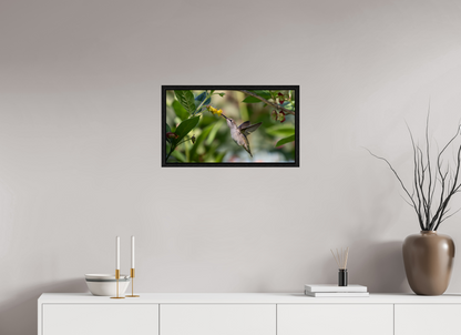 Nectar Hunting Hummingbird