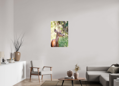 Foraging Deer