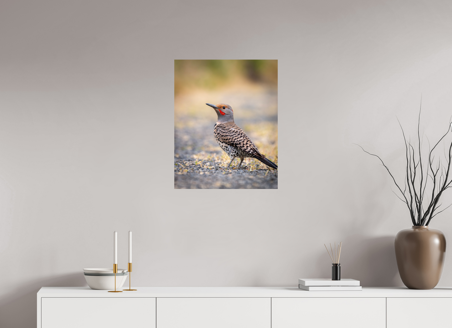 20 x 25″, Photo Print On Fuji Crystal DP II Remarkable Northern Flicker