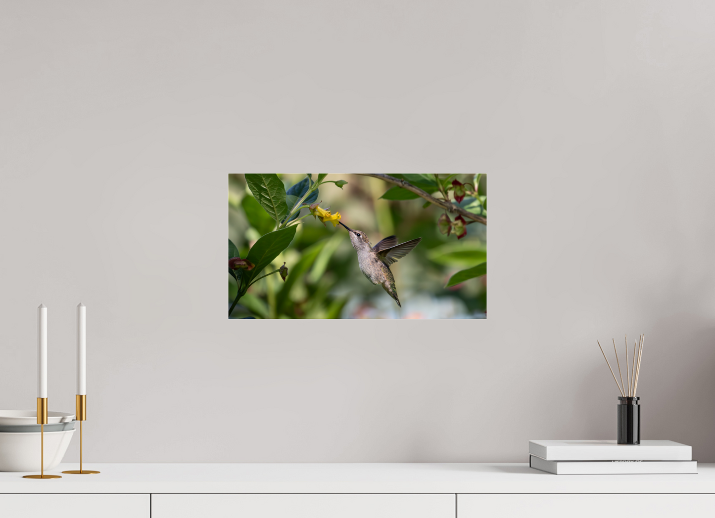 Nectar Hunting Hummingbird