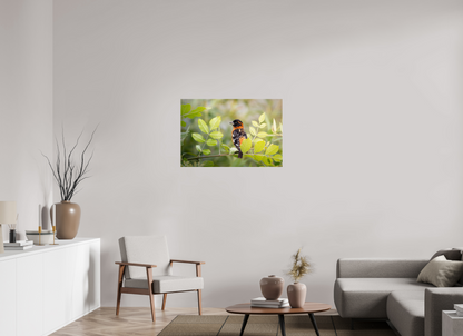 36 x 24″, Photo Print Under Acrylic Glass Poised Black Headed Grosbeak
