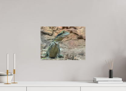 Water Dragon on Proud Rock