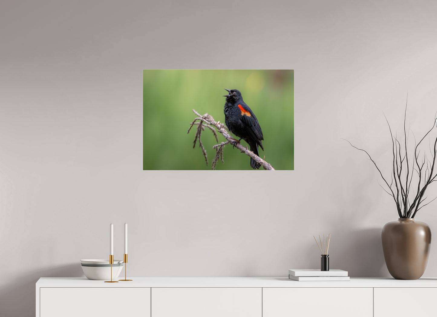 30 x 20″, Photo Print Under Acrylic Glass Perched Red Winged Blackbird