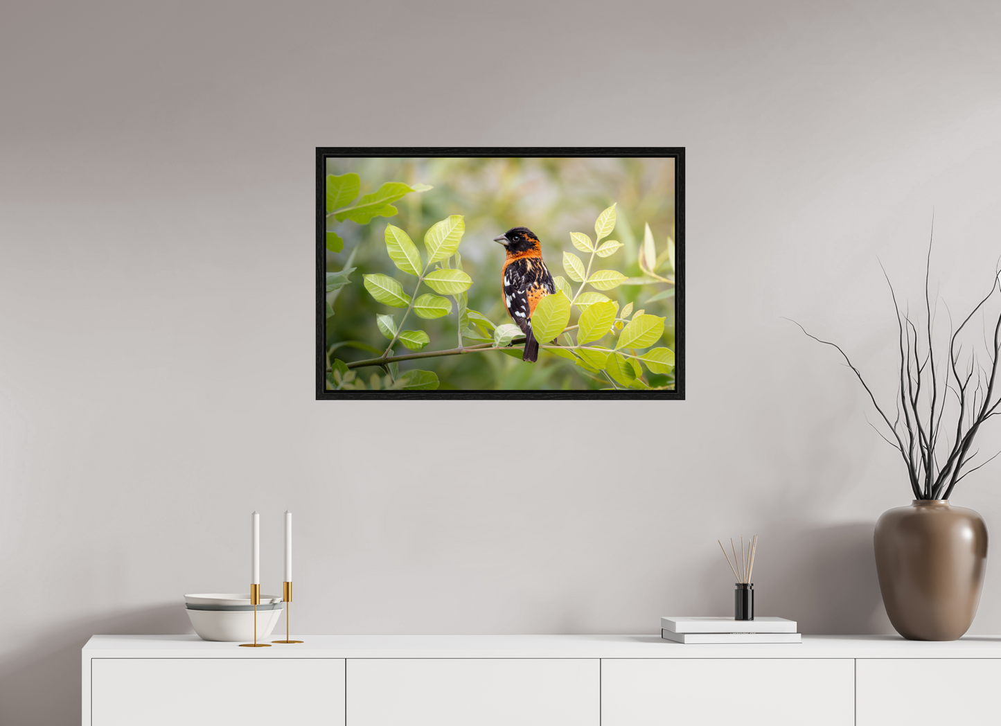 30 x 20″, Floater Frame Poised Black Headed Grosbeak
