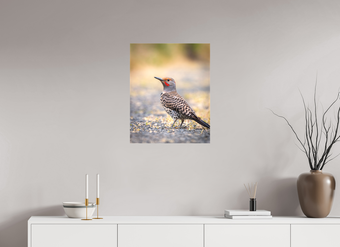 20 x 25″, Canvas Prints Remarkable Northern Flicker