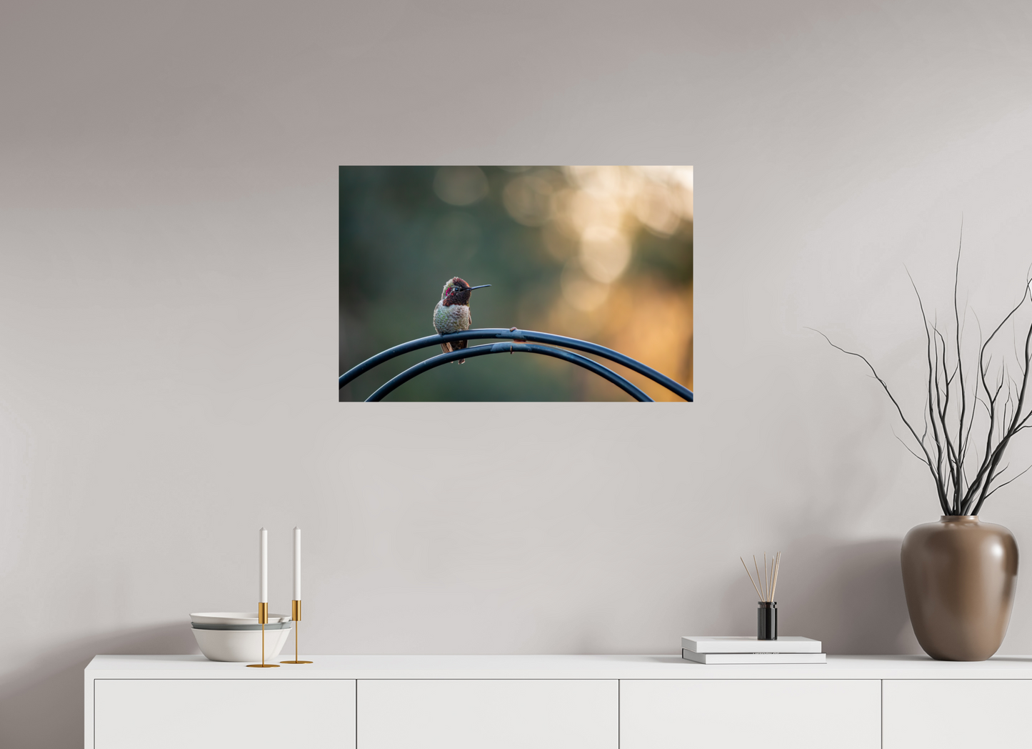 Sunspot Hummingbird