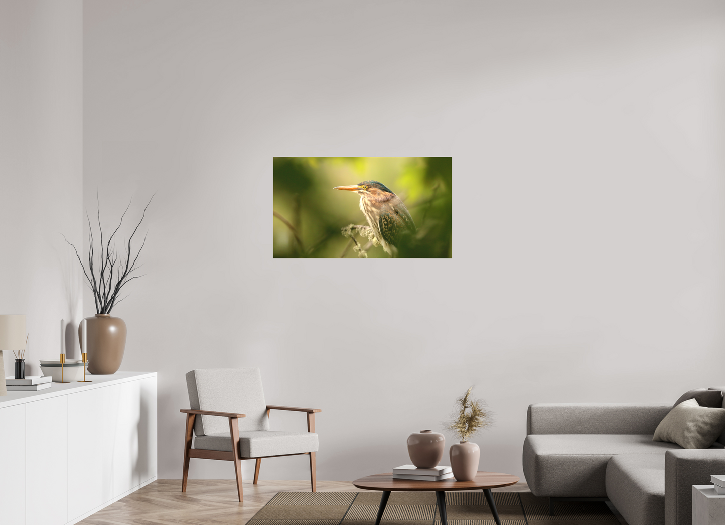 Green Heron Profile