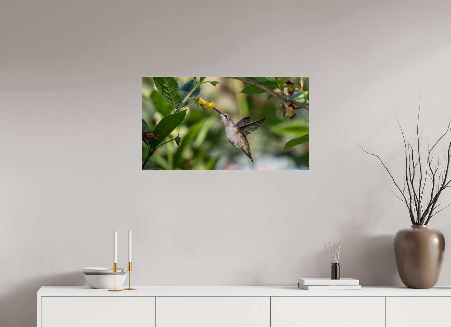 Nectar Hunting Hummingbird