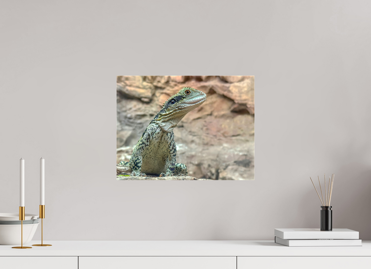 Water Dragon on Proud Rock