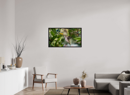 Nectar Hunting Hummingbird