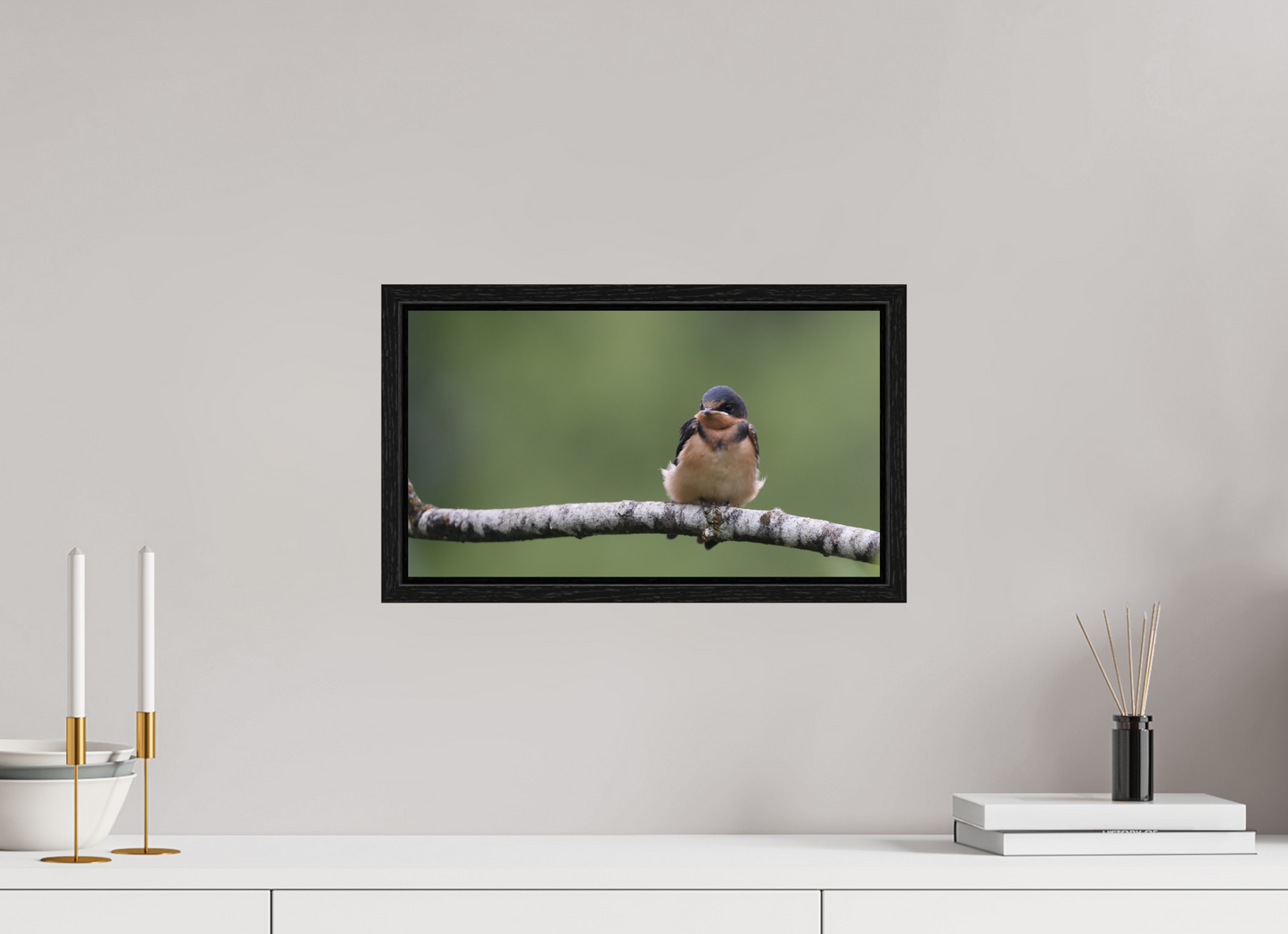 Resting Barn Swallow
