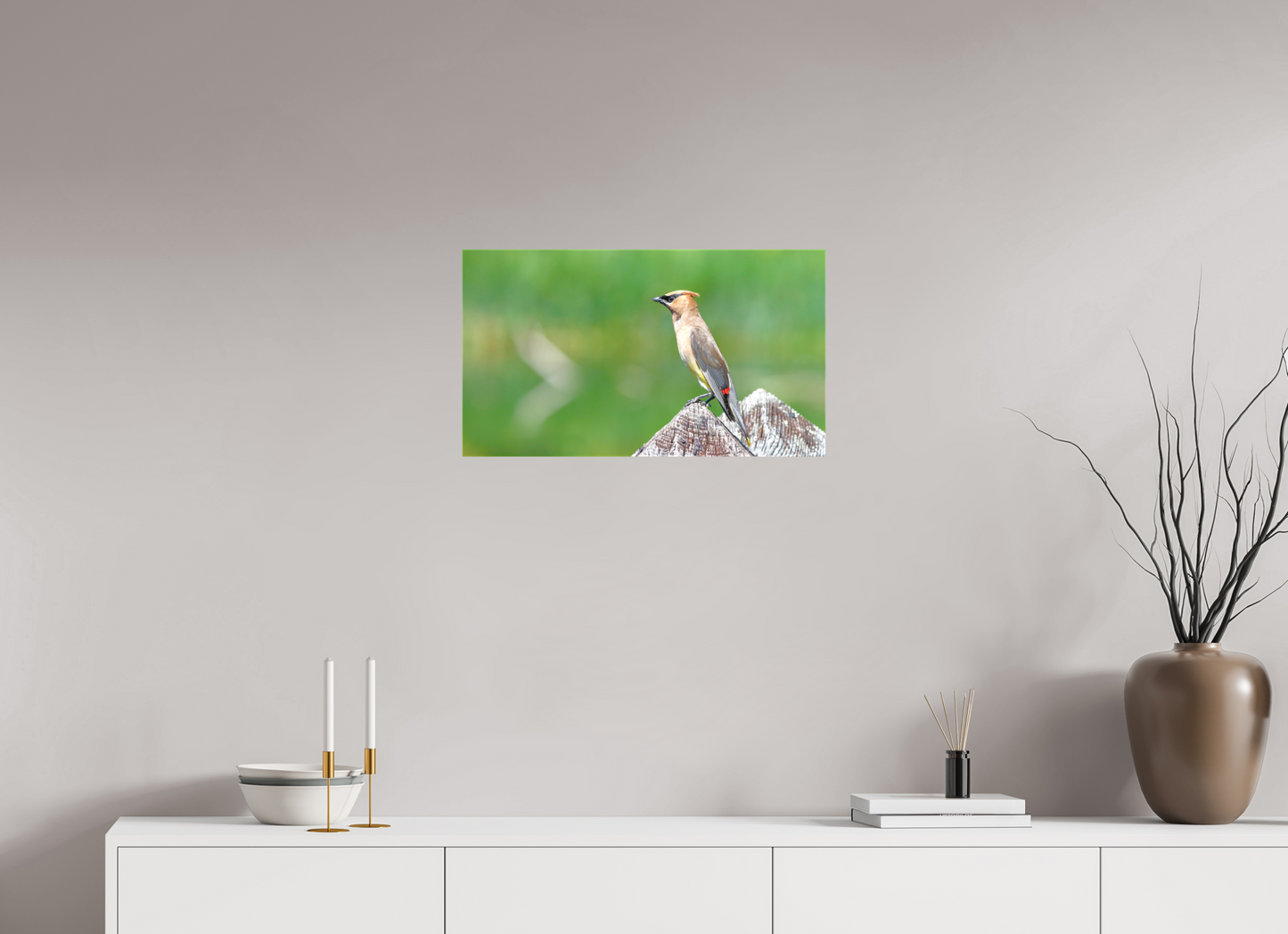 Cedar Waxwing Lookout