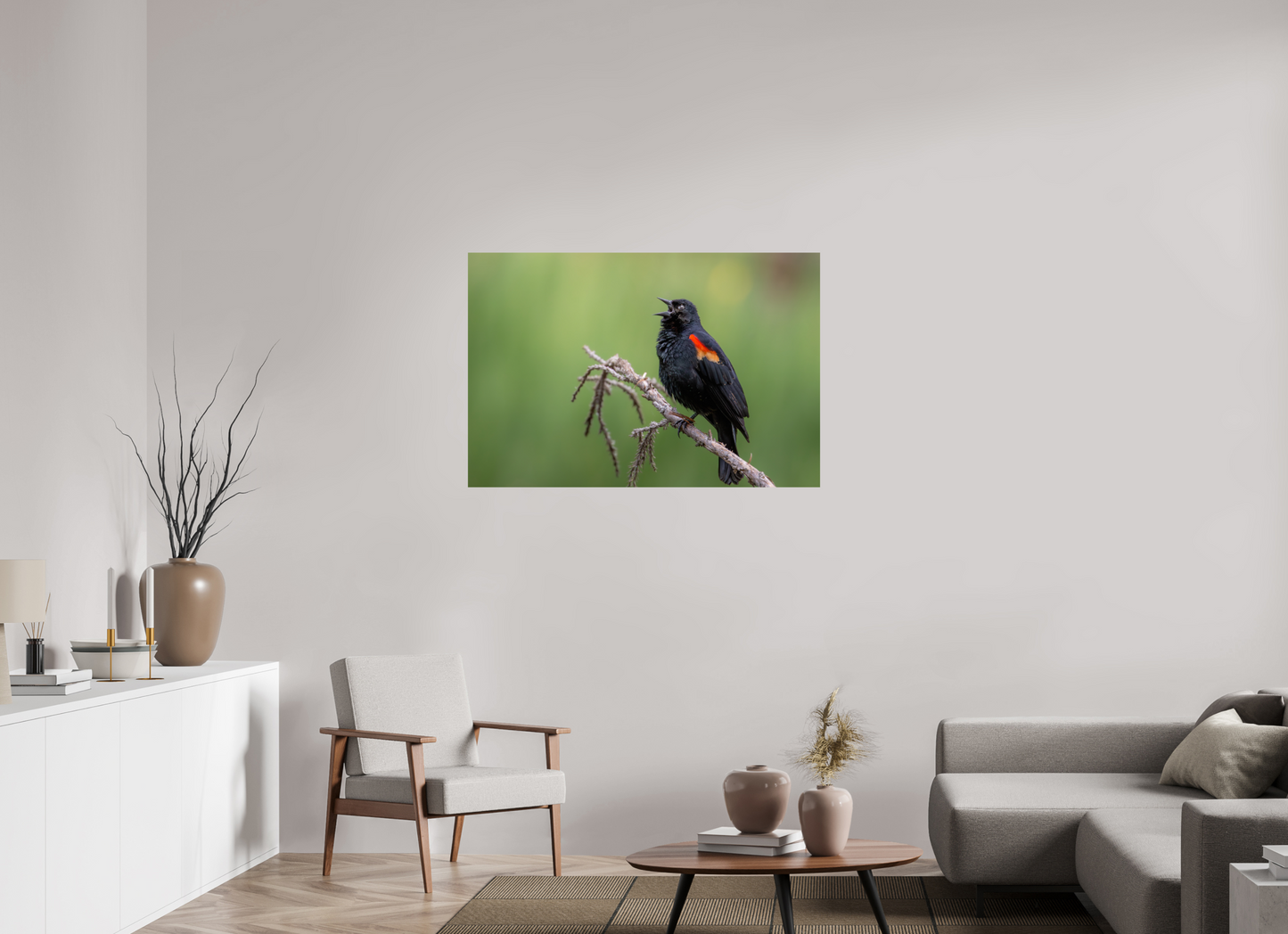45 x 30″, Photo Print On Fuji Crystal DP II Perched Red Winged Blackbird