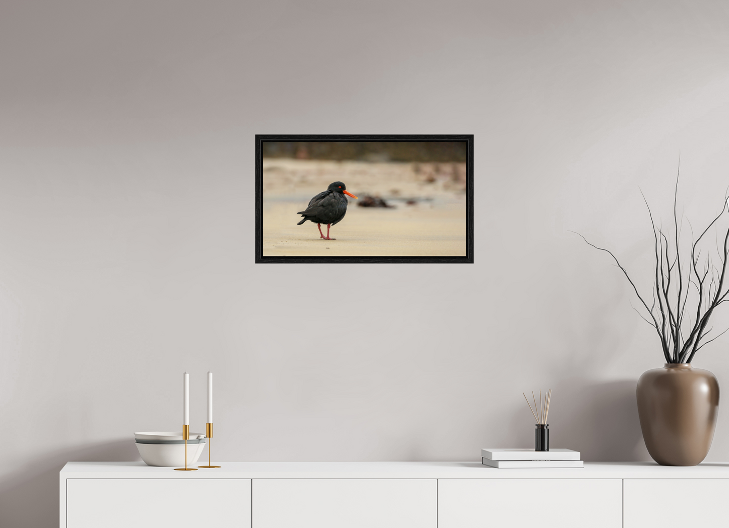 Beach Cruising Oyster Catcher