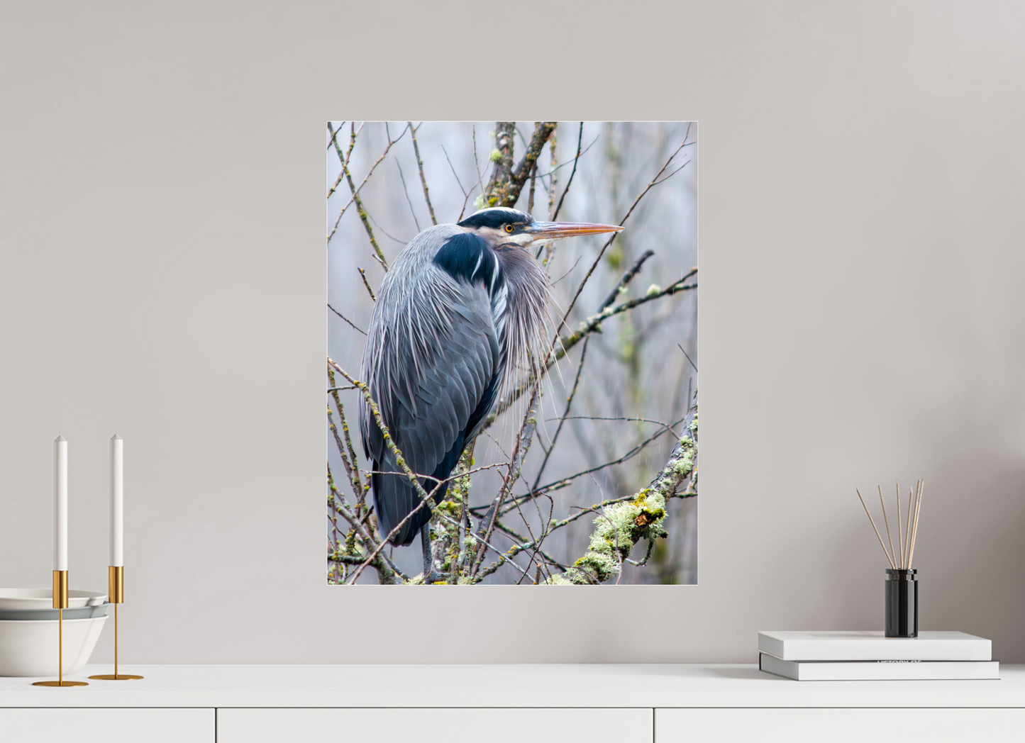 Rainy Great Blue Heron