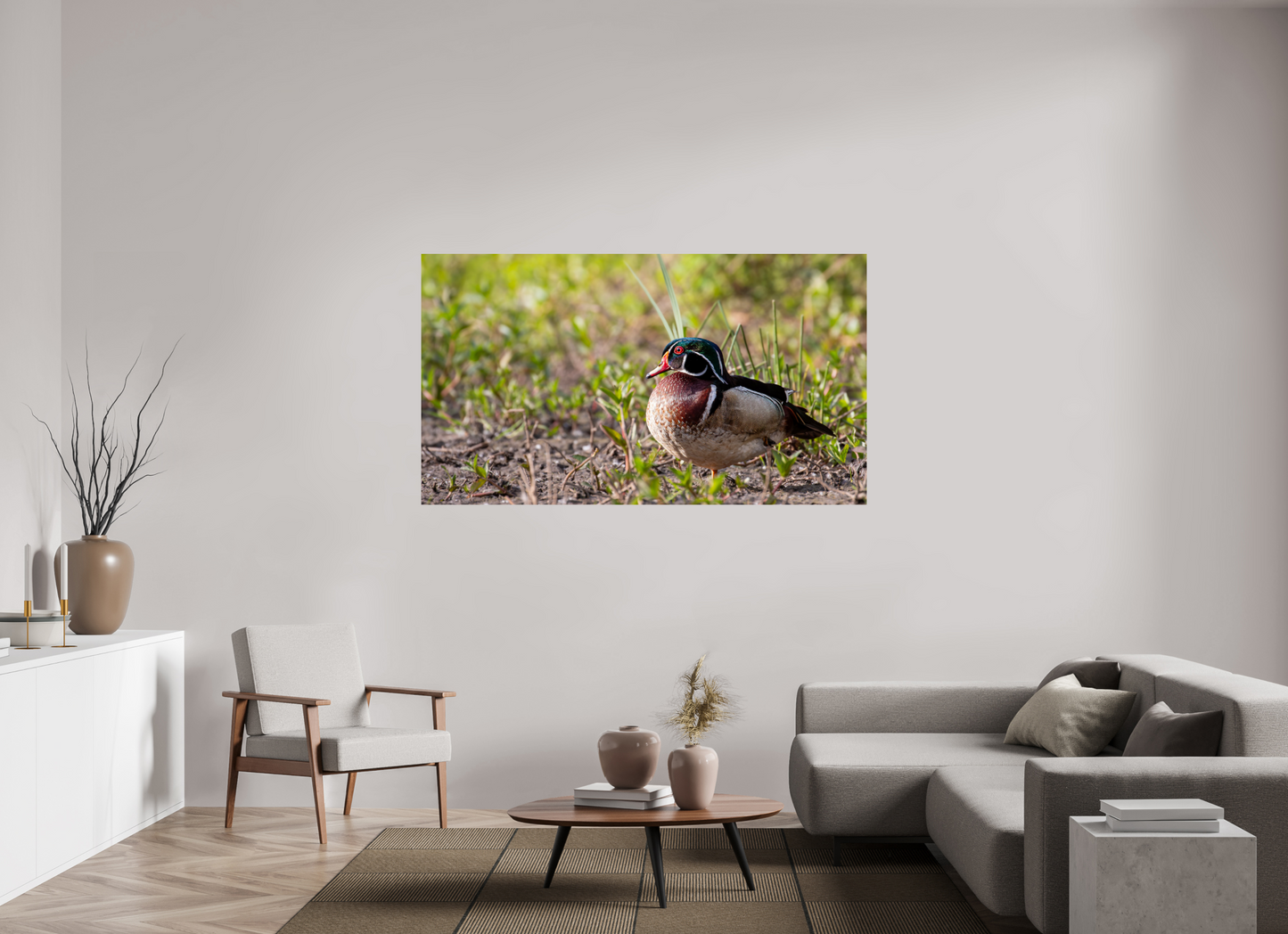 Balancing Wood Duck
