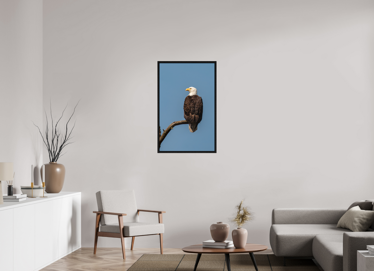 Bald Eagle Portrait