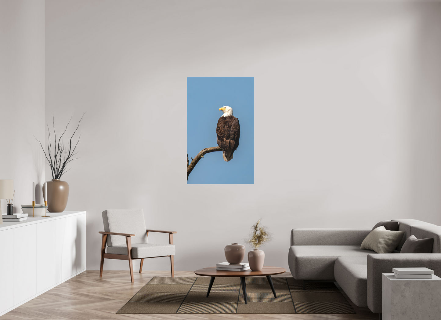 Bald Eagle Portrait