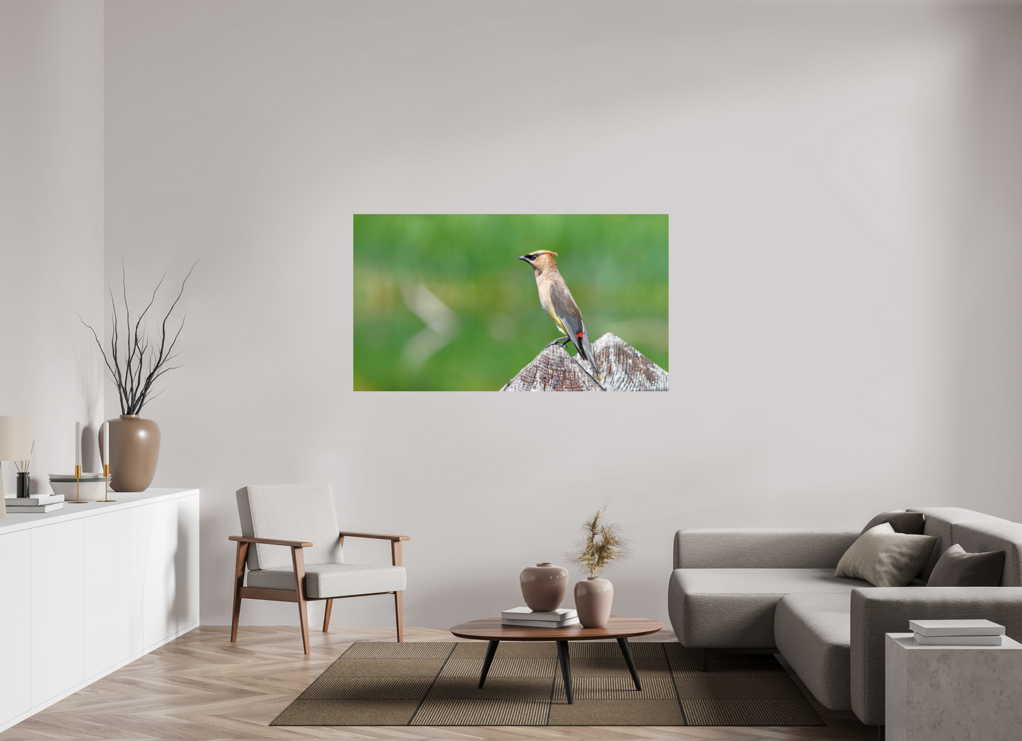 Cedar Waxwing Lookout