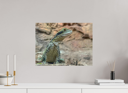 Water Dragon on Proud Rock