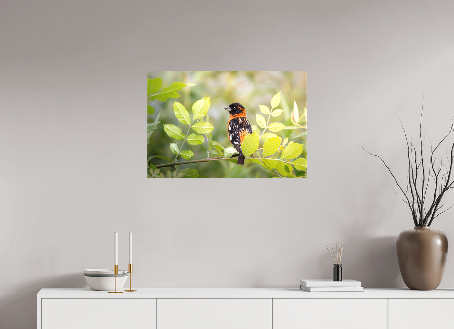30 x 20″, Canvas Prints Poised Black Headed Grosbeak