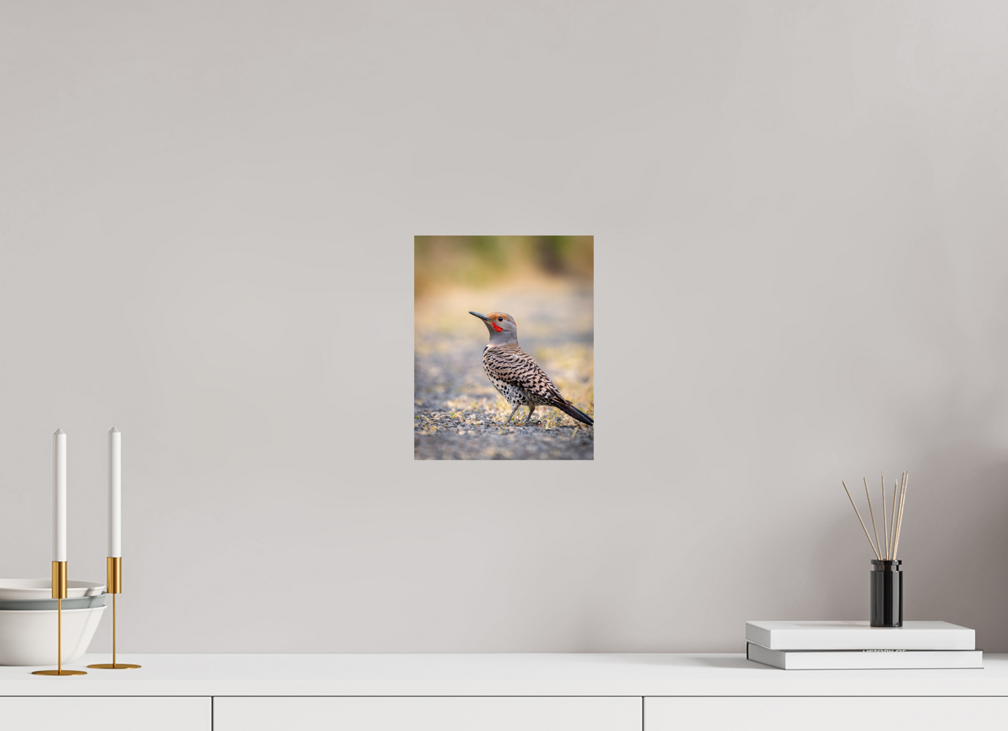 8 x 10″, Photo Print On Fuji Crystal DP II Remarkable Northern Flicker
