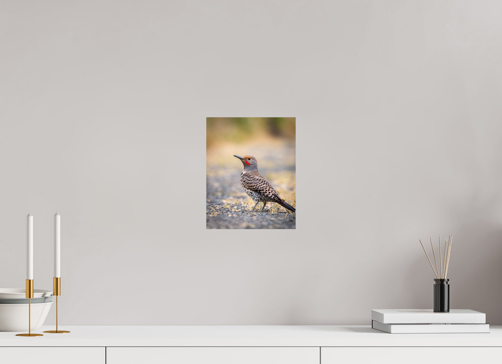 8 x 10″, Photo Print On Fuji Crystal DP II Remarkable Northern Flicker