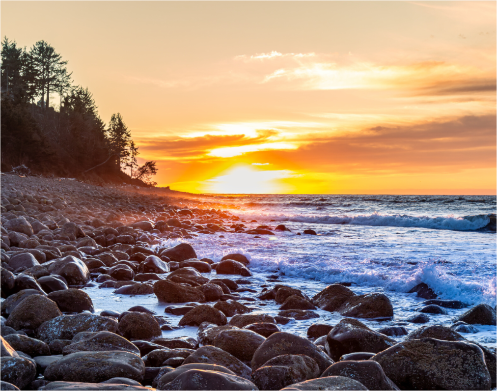 Main image The Cove at Seaside Beach