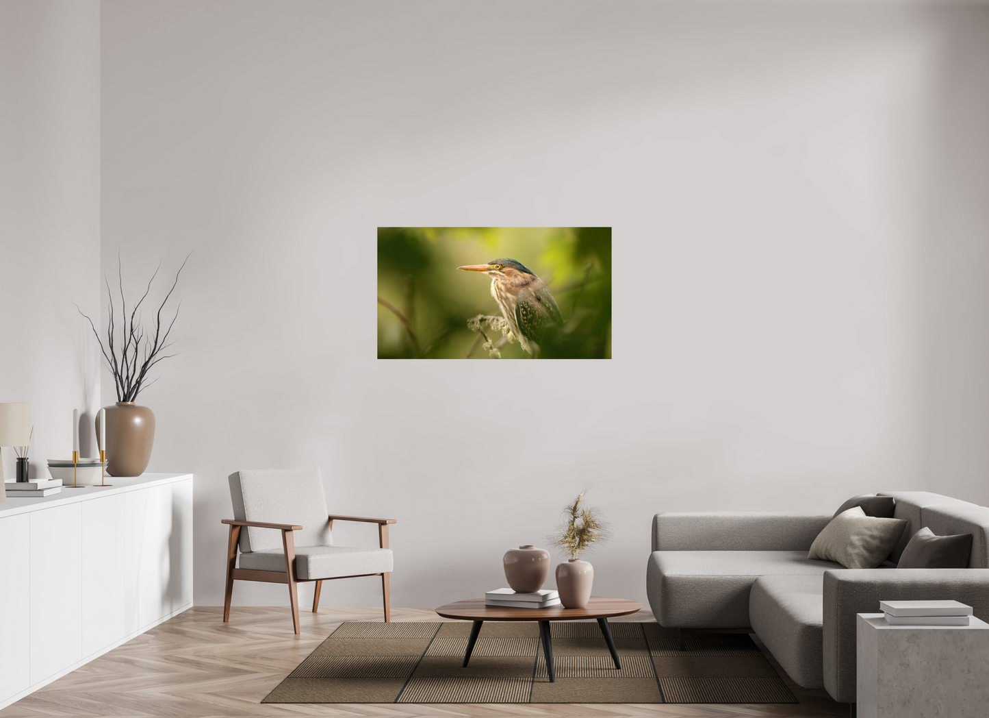 Green Heron Profile