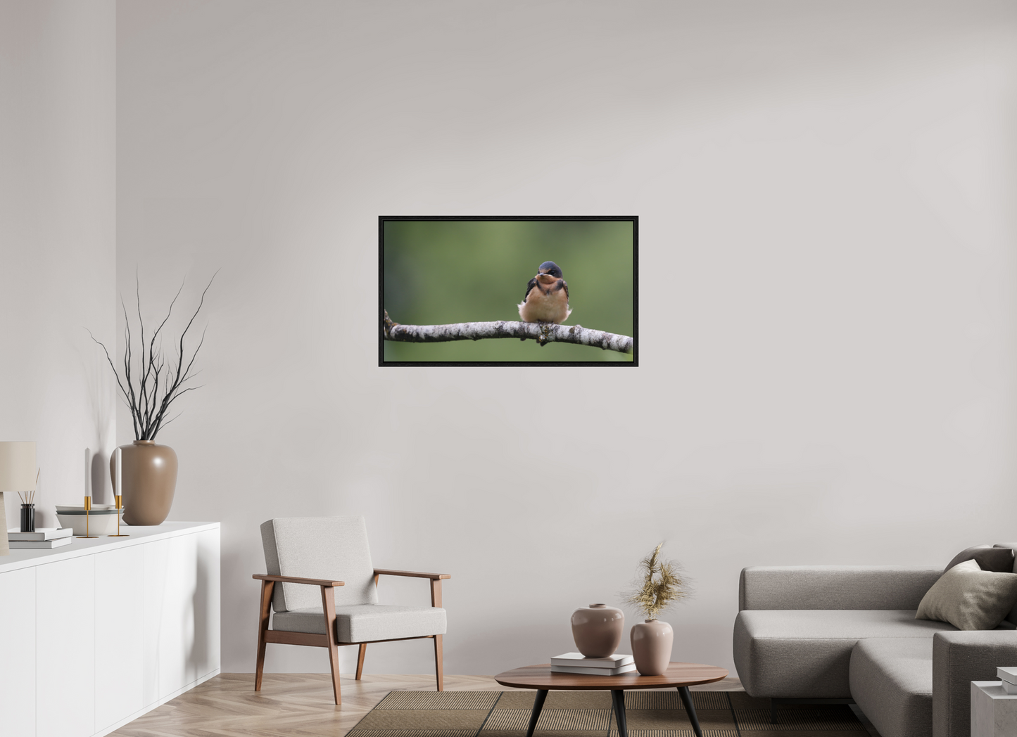 Resting Barn Swallow